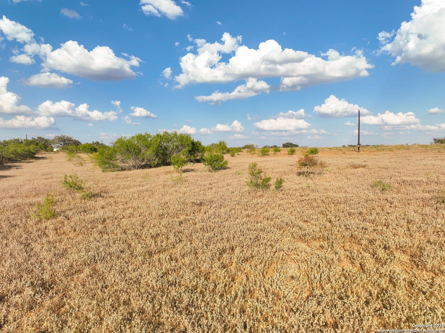 2 acres in Atascosa County - photo 11