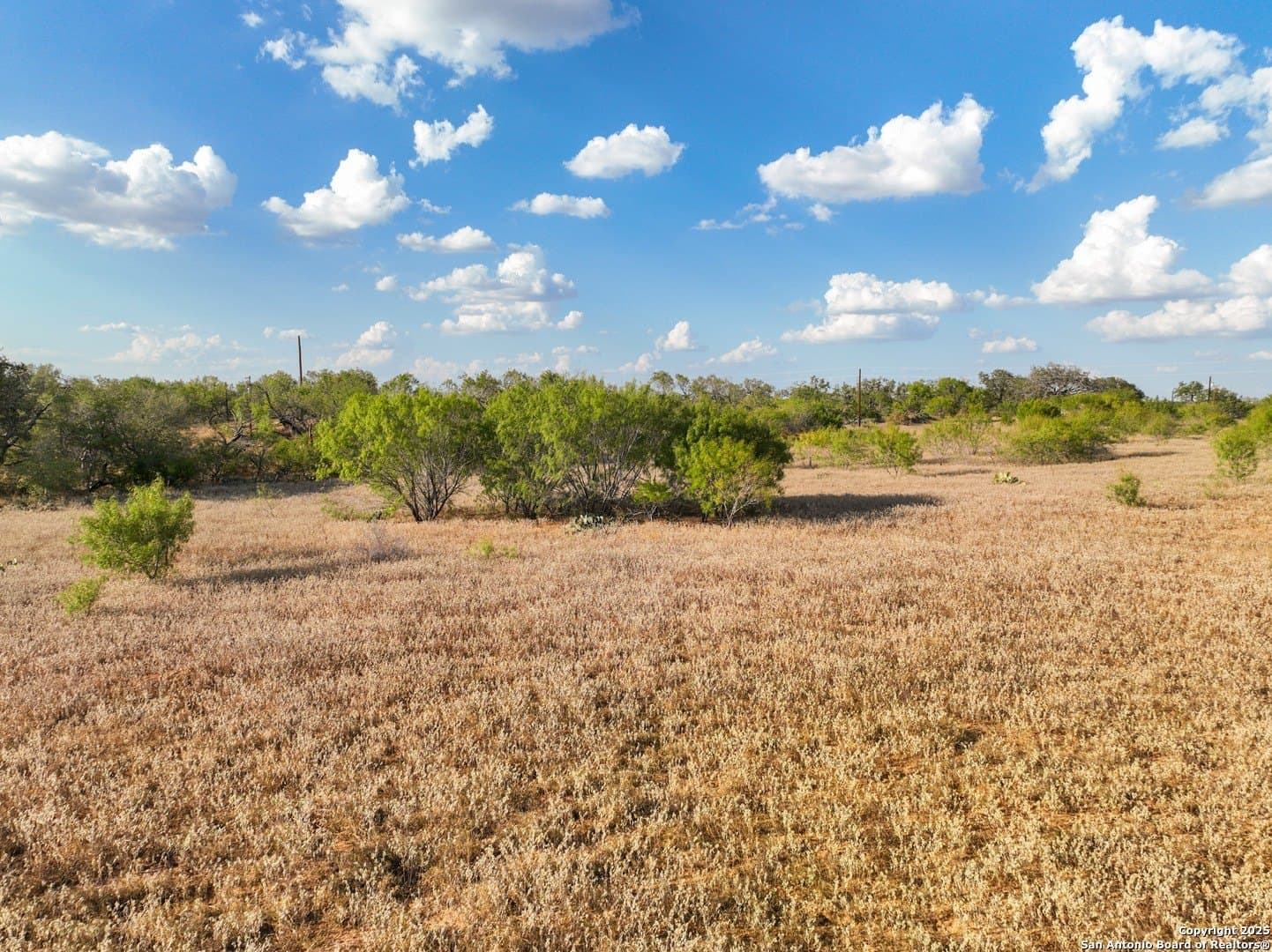 2 acres in Atascosa County - photo 12