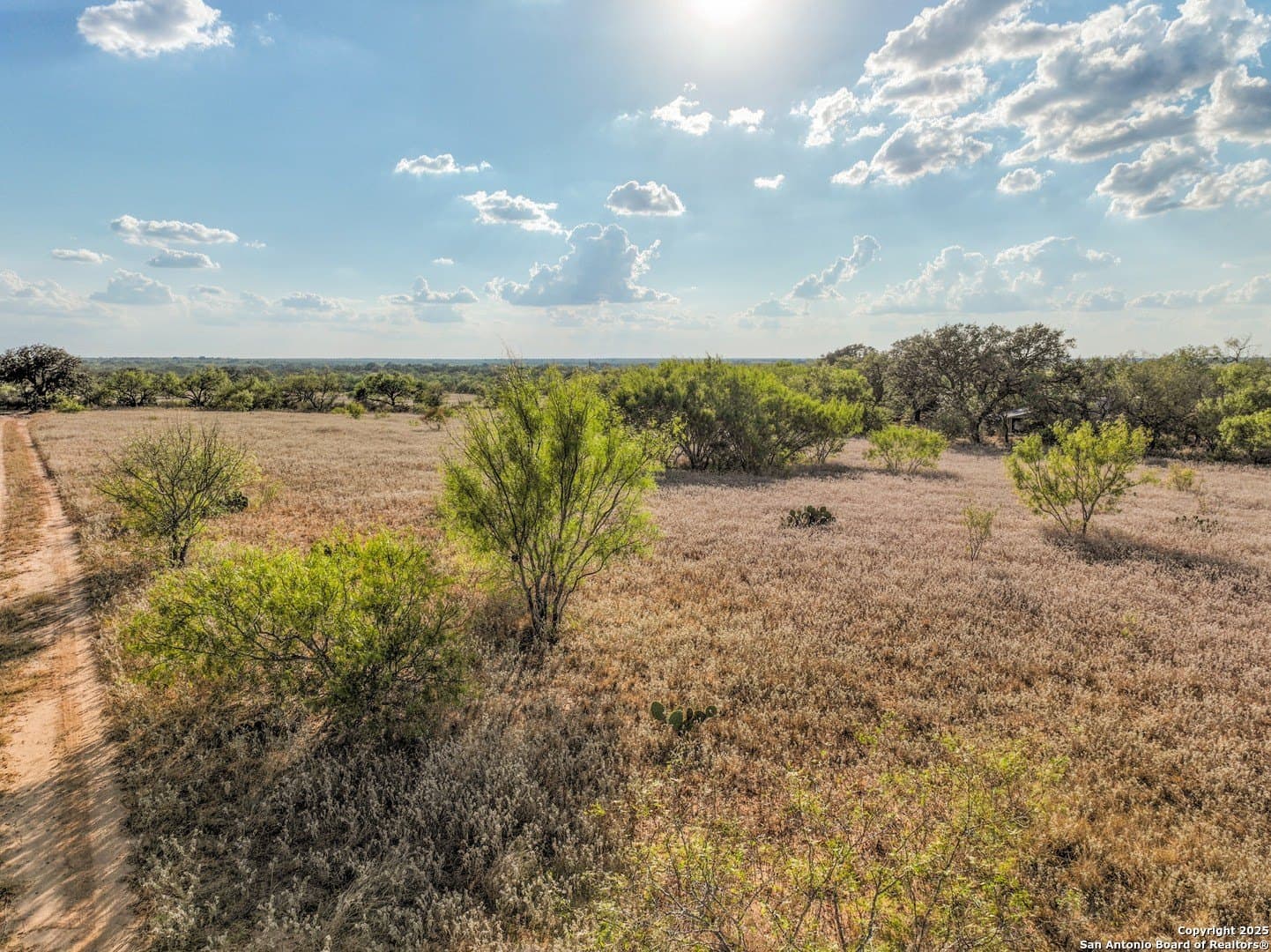 2 acres in Atascosa County - photo 13