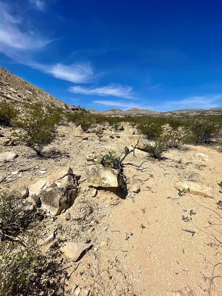 40 acres in Brewster County - photo 16