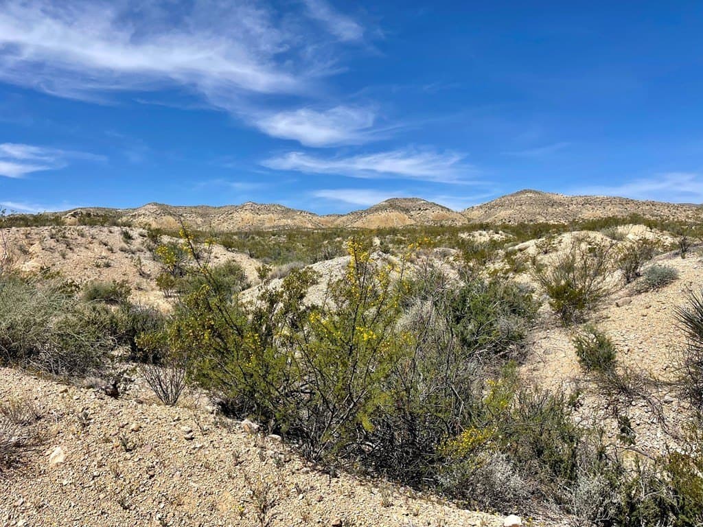 40 acres in Brewster County - photo 20