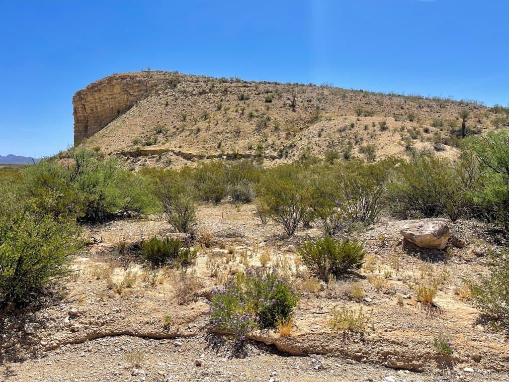 40 acres in Brewster County - photo 11