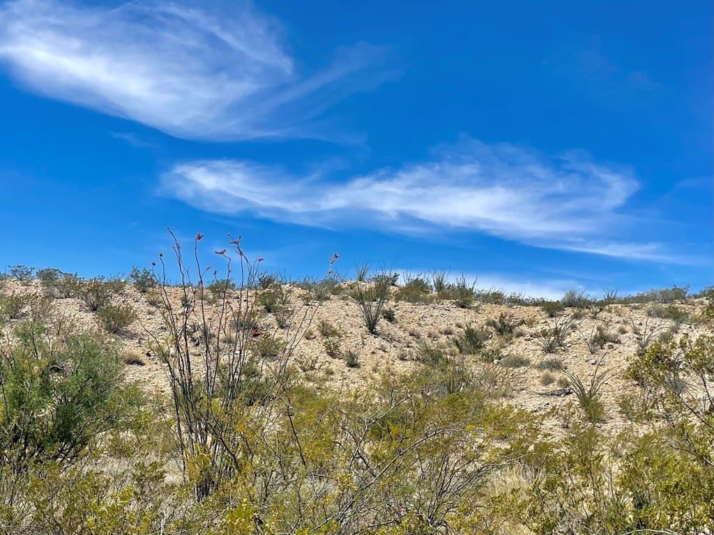 40 acres in Brewster County - photo 15