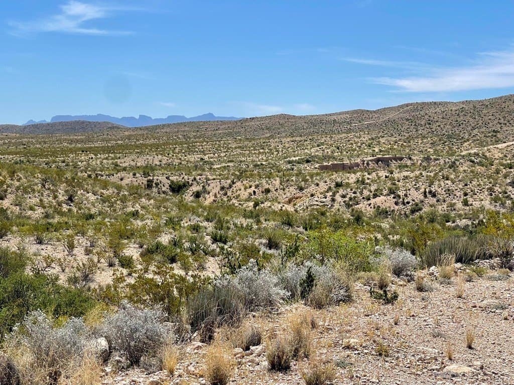 40 acres in Brewster County - photo 24
