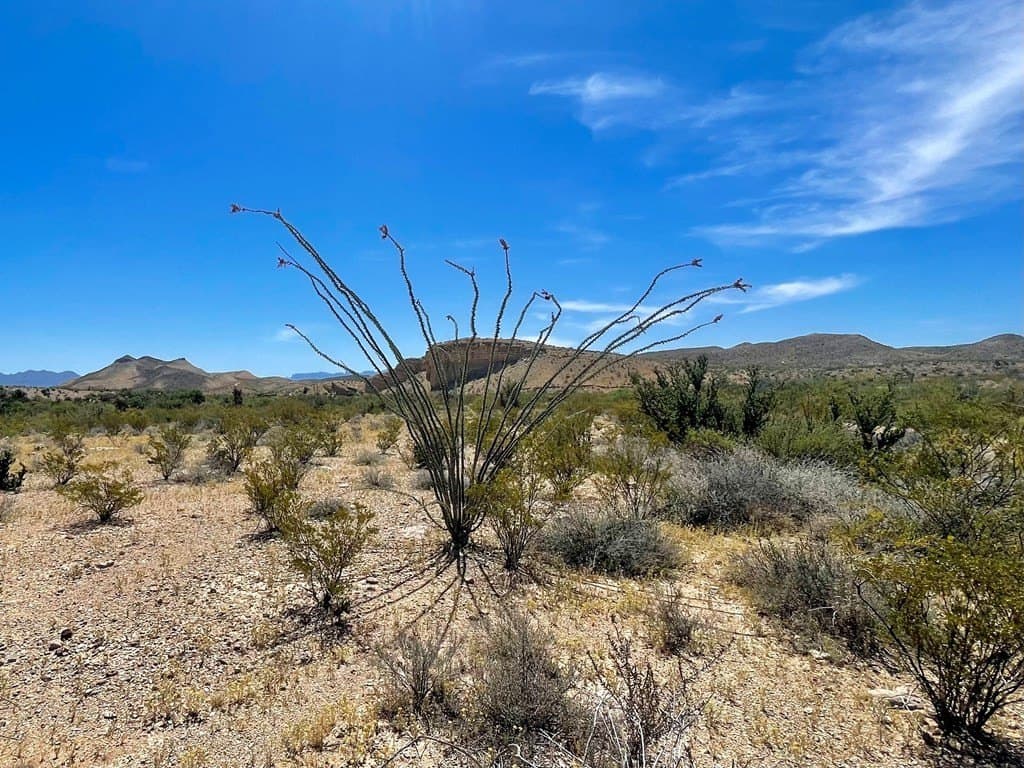 40 acres in Brewster County - photo 3