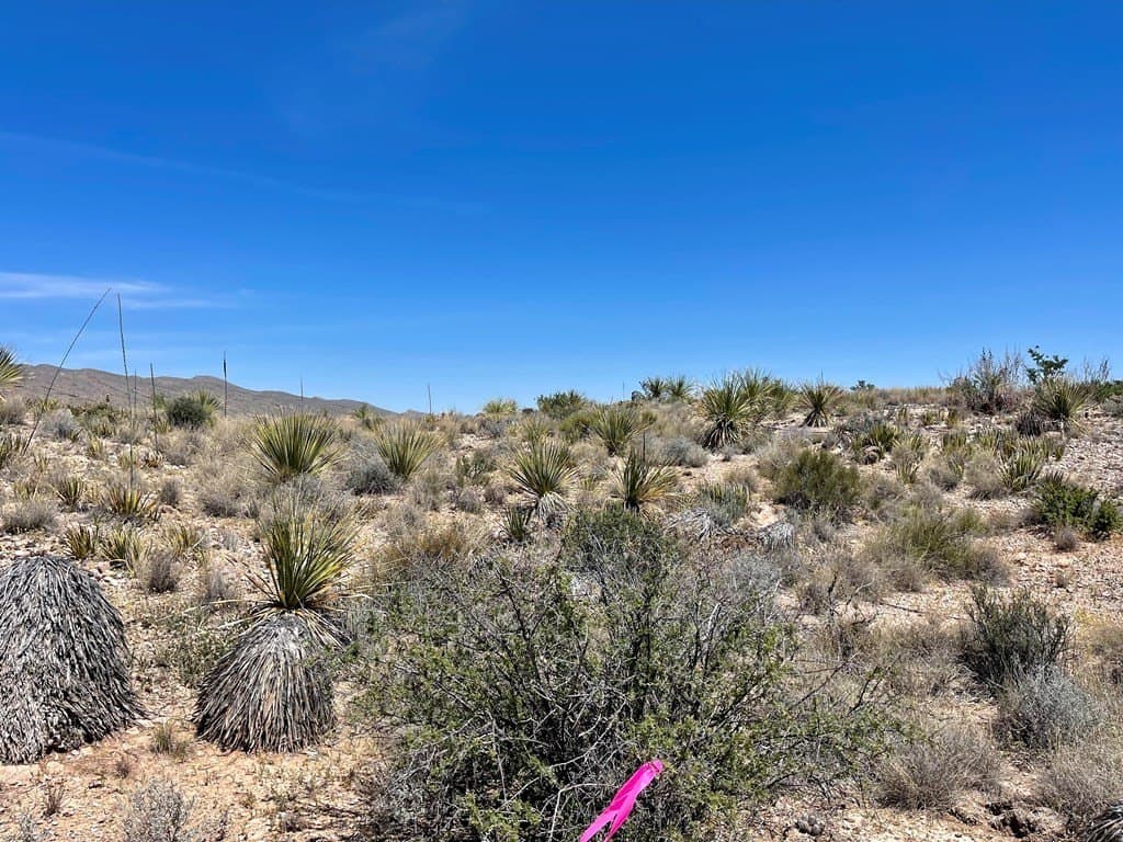 40 acres in Brewster County - photo 12