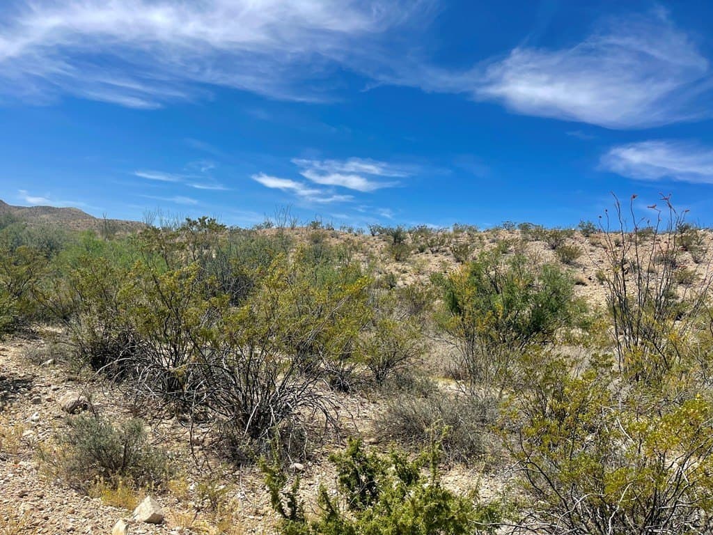 40 acres in Brewster County - photo 14