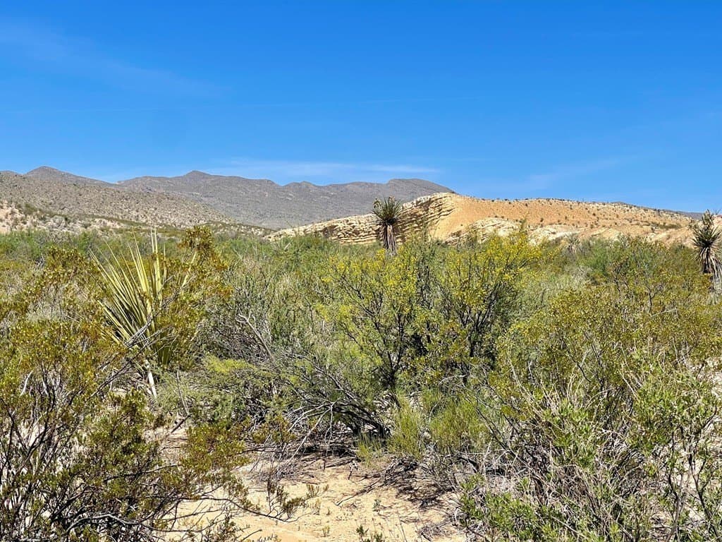 40 acres in Brewster County - photo 18