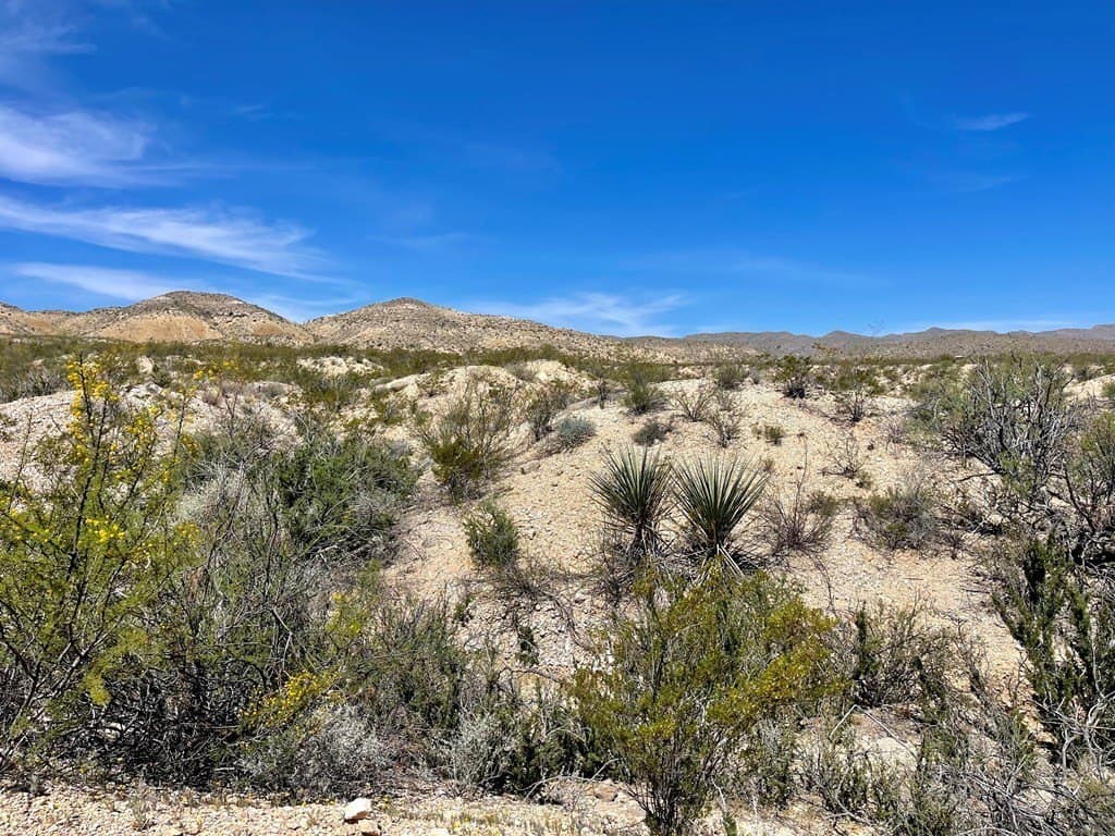 40 acres in Brewster County - photo 21