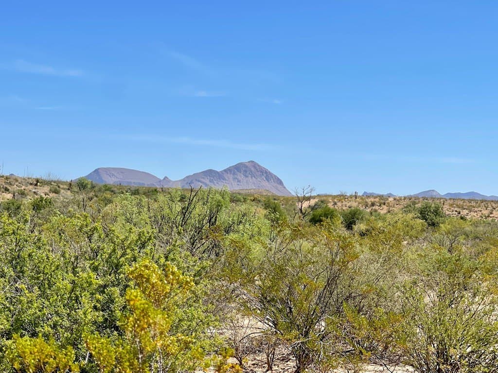 40 acres in Brewster County - photo 19