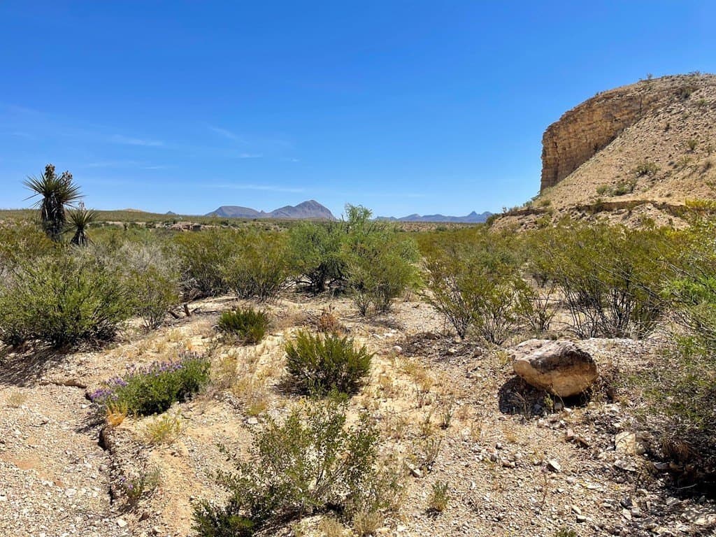 40 acres in Brewster County - photo 10