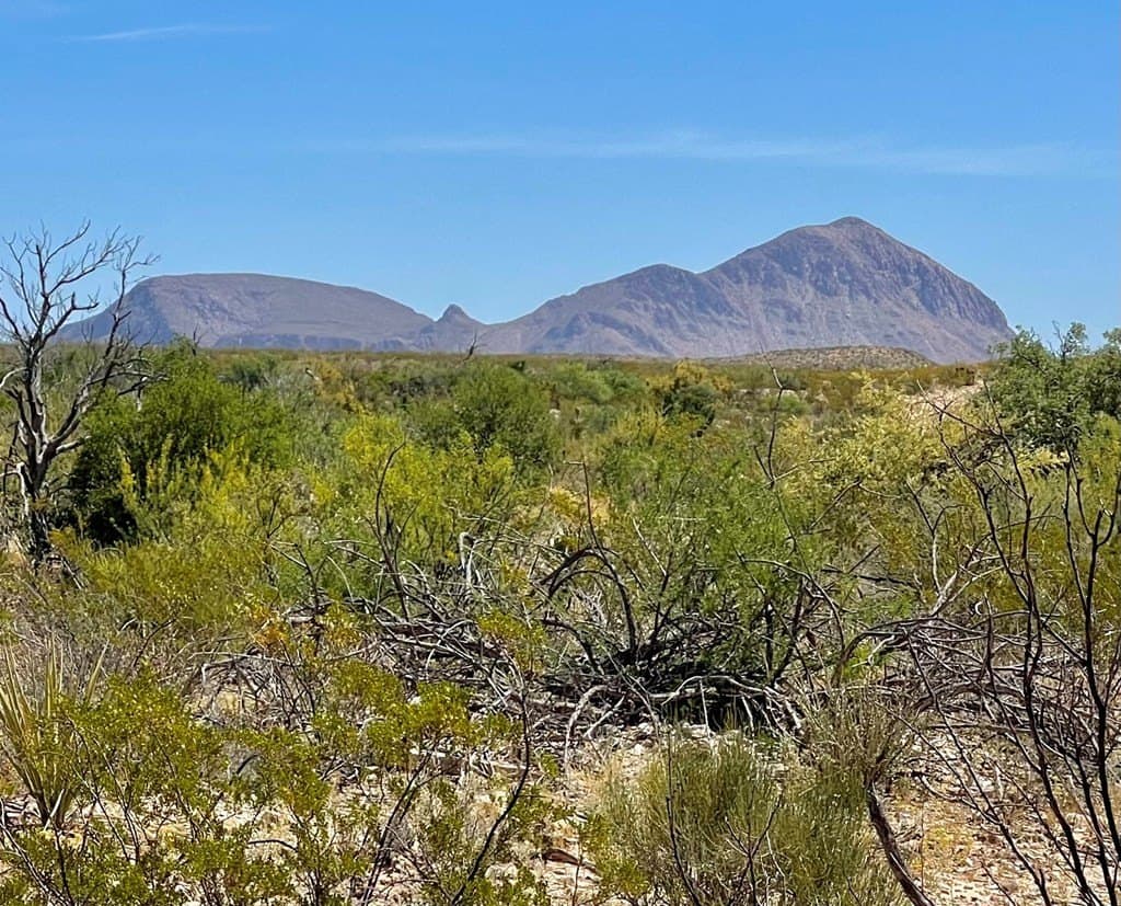 40 acres in Brewster County - photo 17