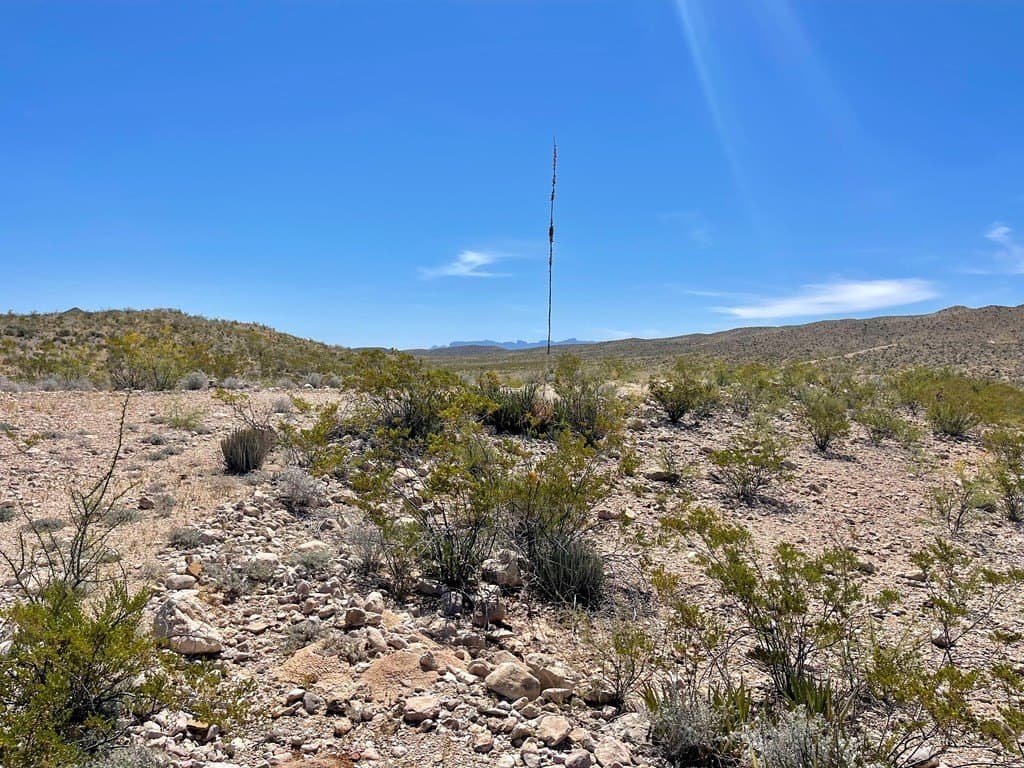 40 acres in Brewster County - photo 25