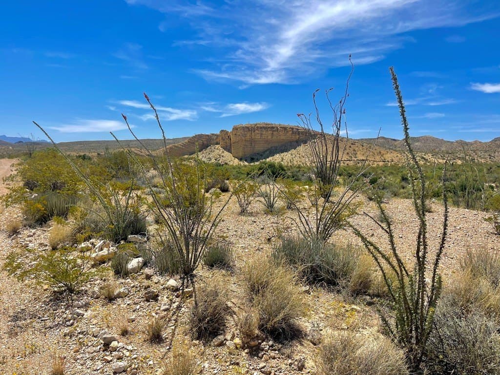 40 acres in Brewster County - photo 13