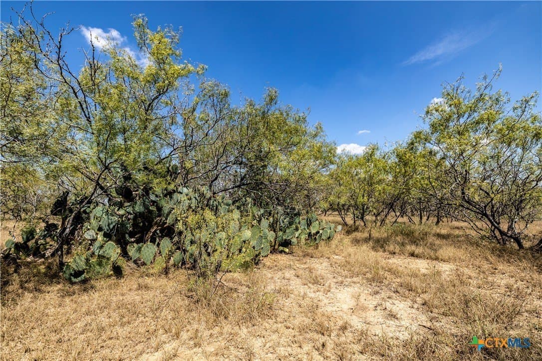 8.01 acres in Caldwell County - photo 10