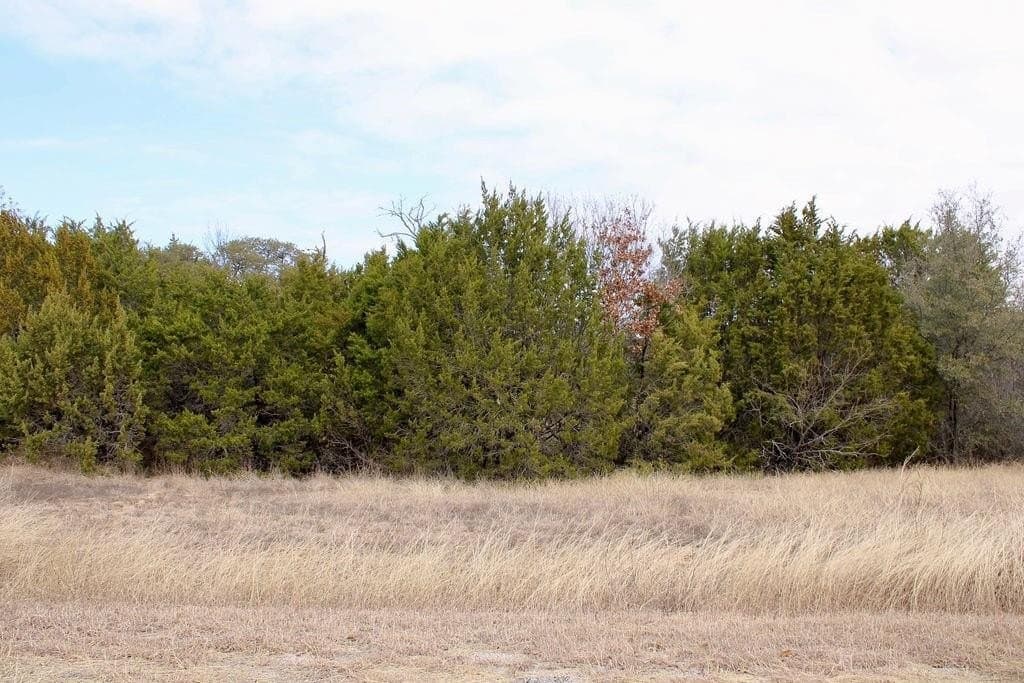 0.07 acres in Hood County - photo 12