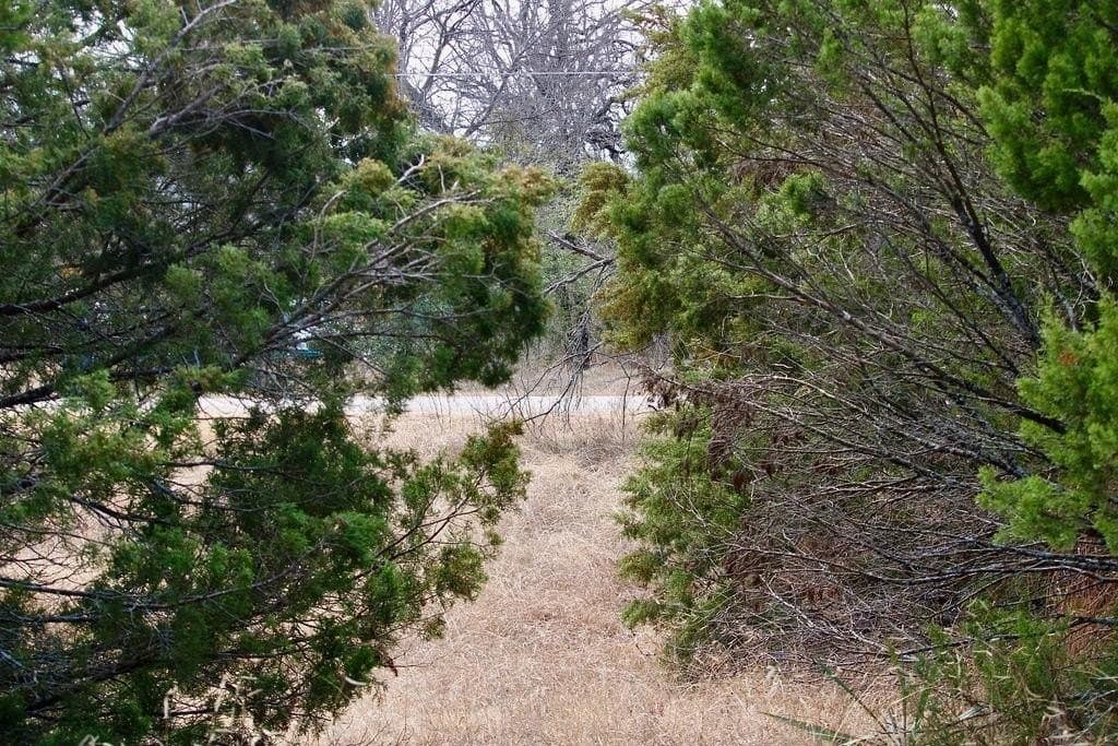 0.07 acres in Hood County - photo 17
