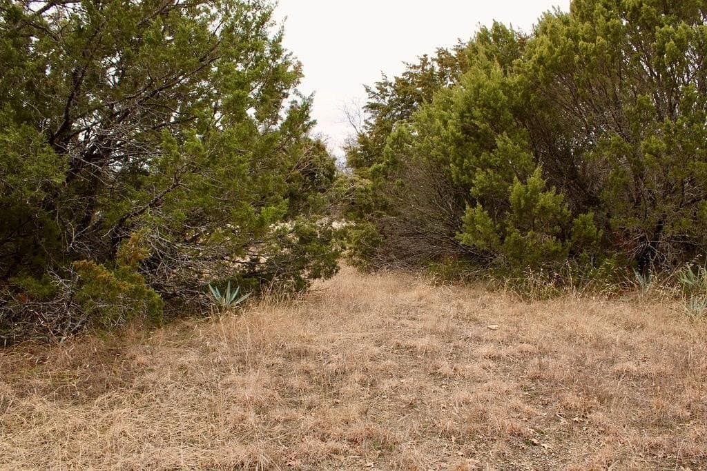 0.07 acres in Hood County - photo 10