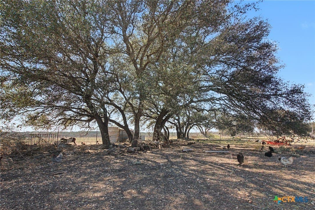 20.89 acres in Lampasas County - photo 9