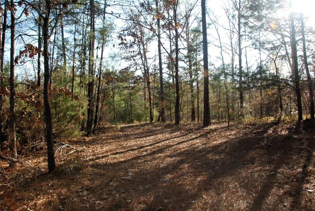 19.98 acres in Wood County - photo 10