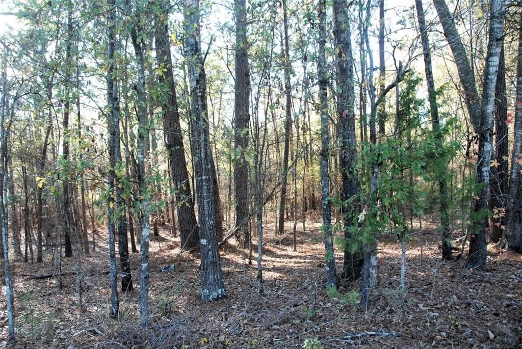 19.98 acres in Wood County - photo 15