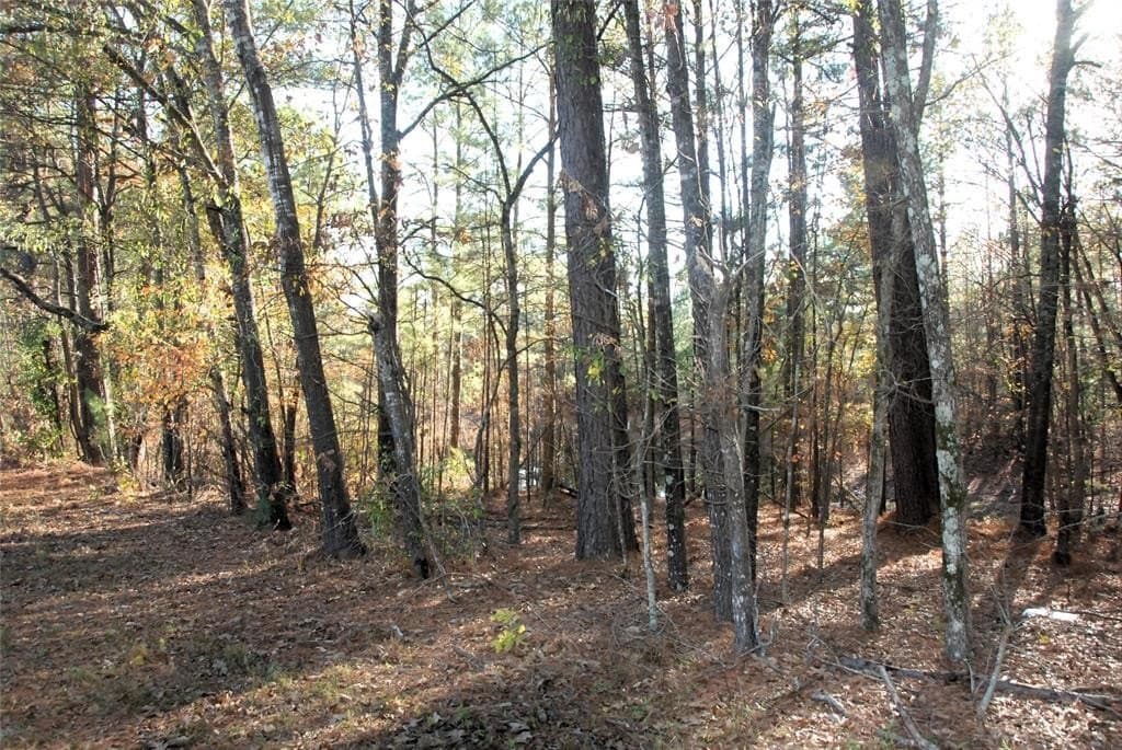19.98 acres in Wood County - photo 16