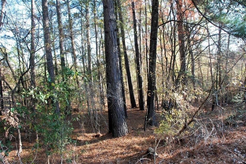19.98 acres in Wood County - photo 11