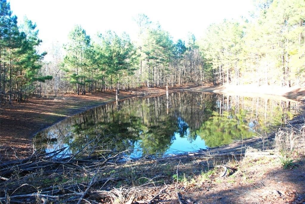19.98 acres in Wood County - photo 2