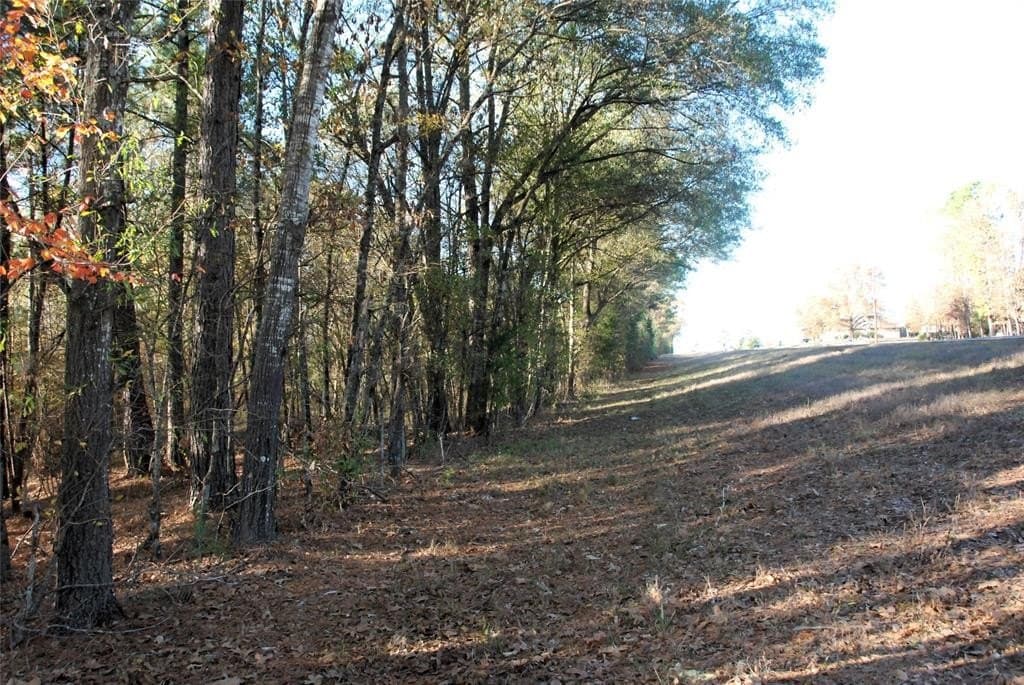 19.98 acres in Wood County - photo 6