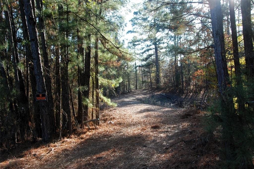 19.98 acres in Wood County - photo 7