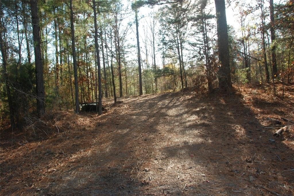 19.98 acres in Wood County - photo 9