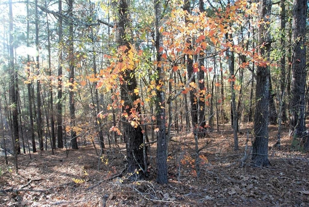 19.98 acres in Wood County - photo 12