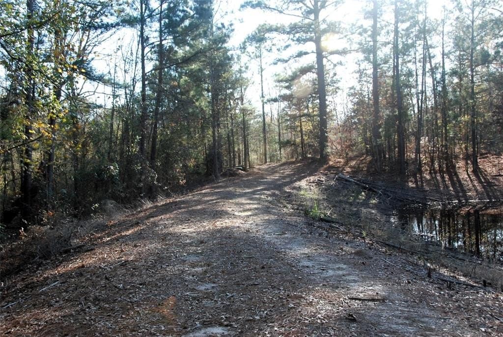 19.98 acres in Wood County - photo 8