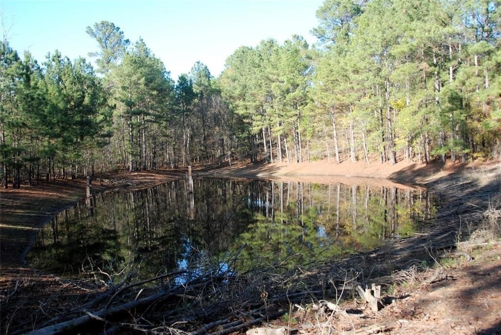 19.98 acres in Wood County - photo 3