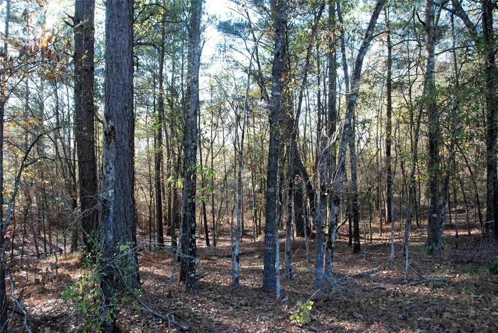 19.98 acres in Wood County - photo 13
