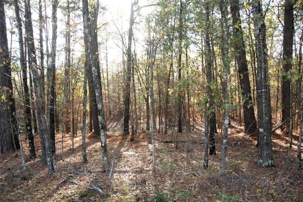 19.98 acres in Wood County - photo 14