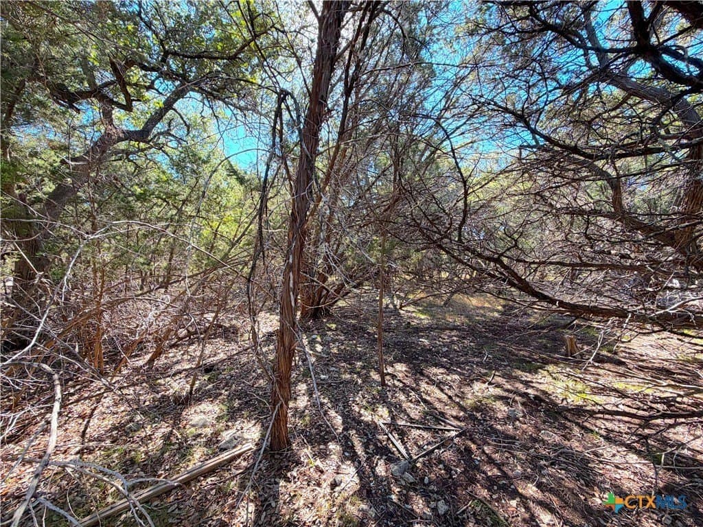 0.28 acres in Comal County - photo 5