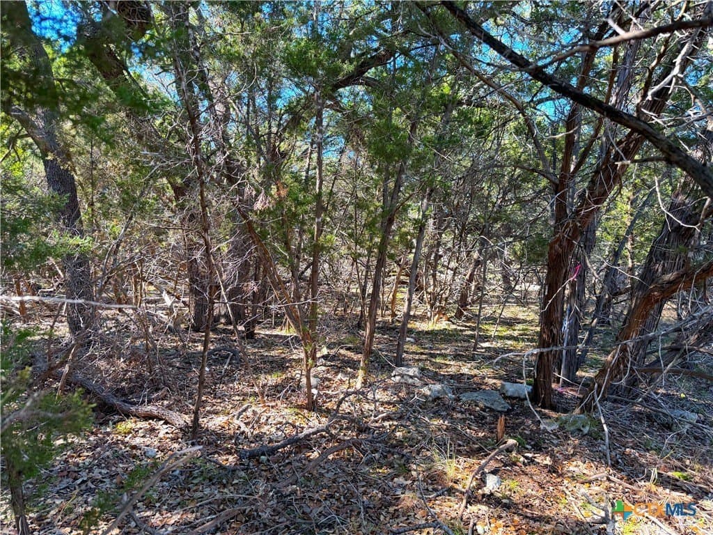 0.28 acres in Comal County - photo 4