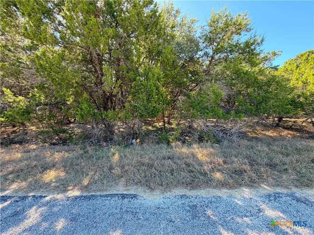 0.28 acres in Comal County - photo 3
