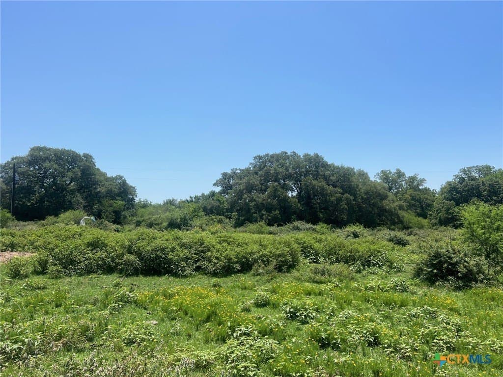15 acres in Lavaca County - photo 5