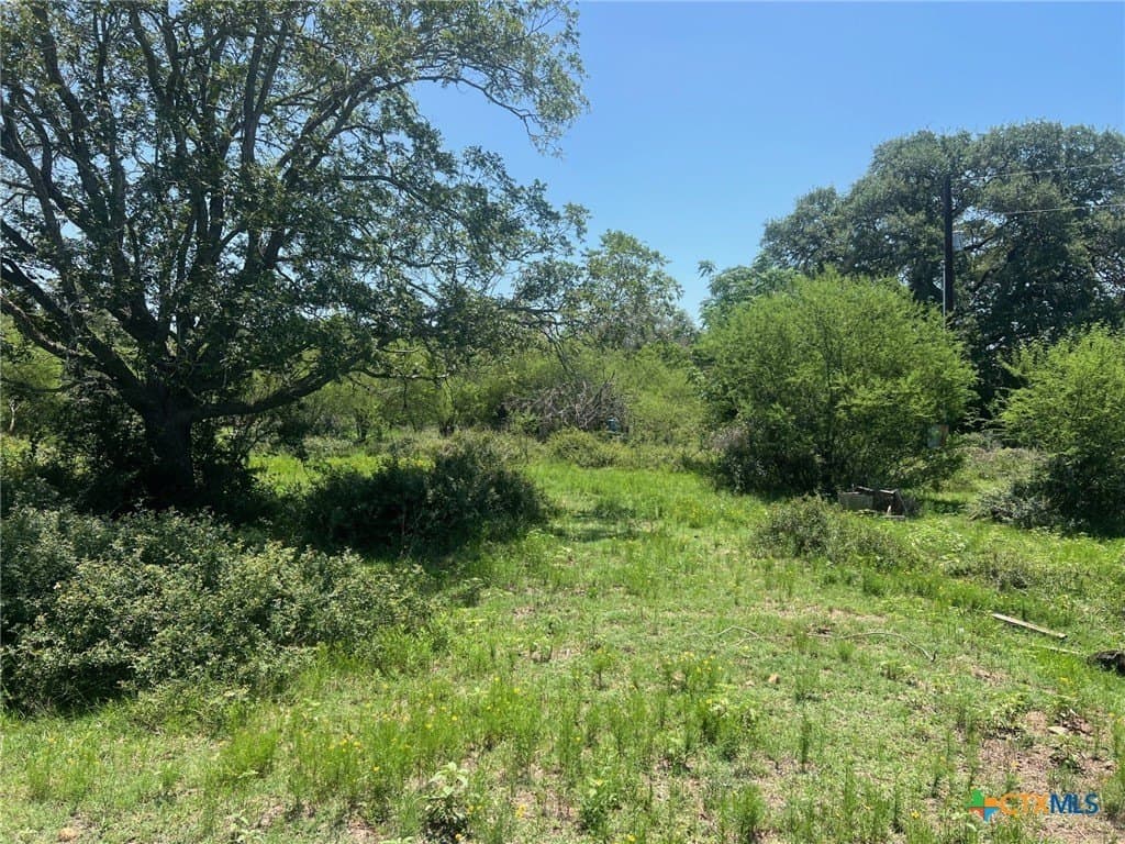 15 acres in Lavaca County - photo 3