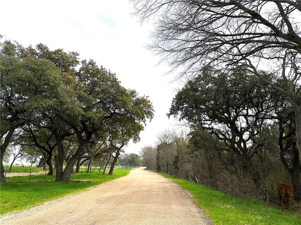 10 acres in Coryell County - photo 9