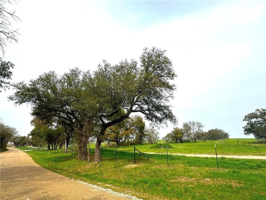 10 acres in Coryell County - photo 7