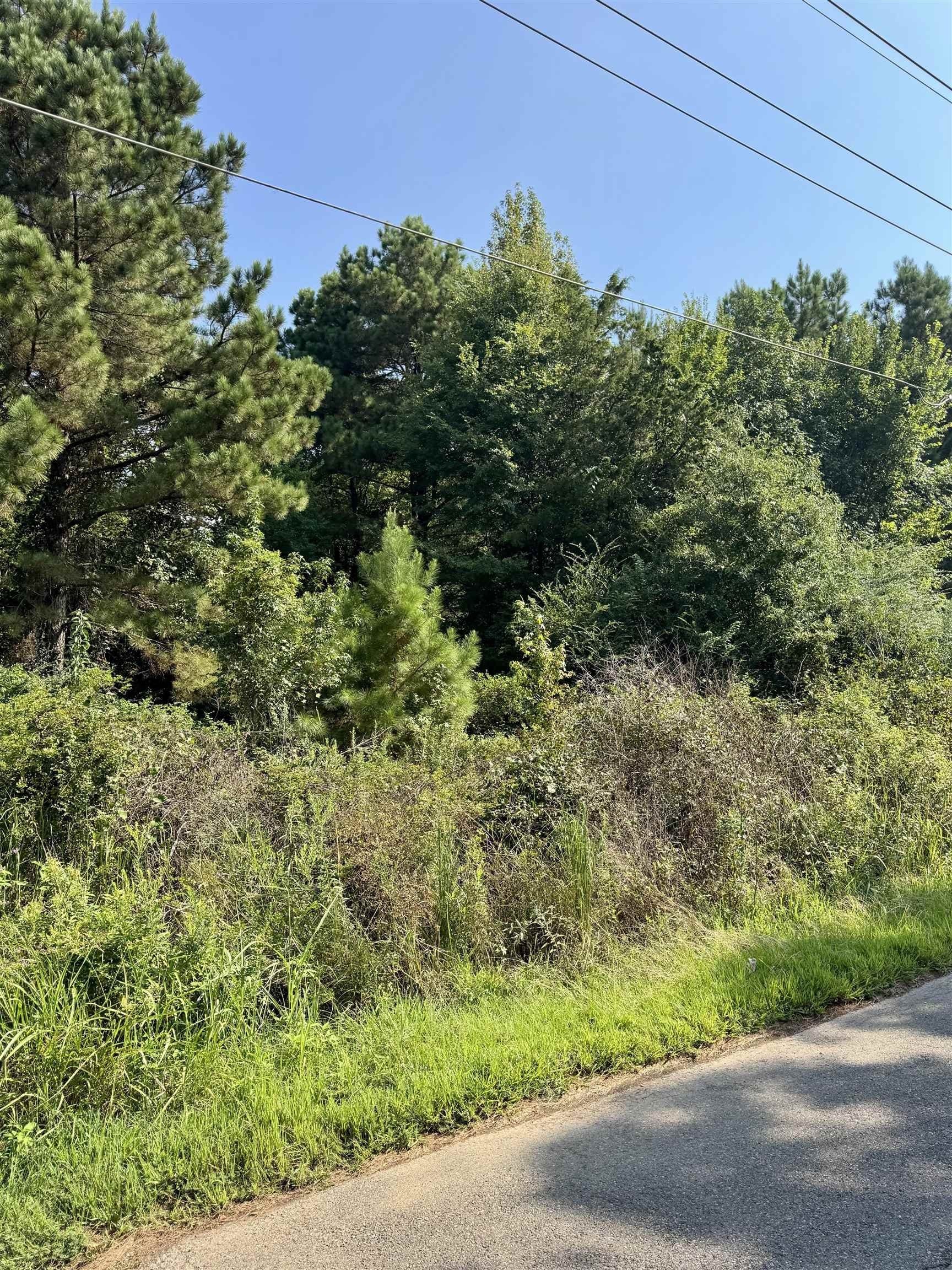 8.35 acres in Harrison County - photo 2