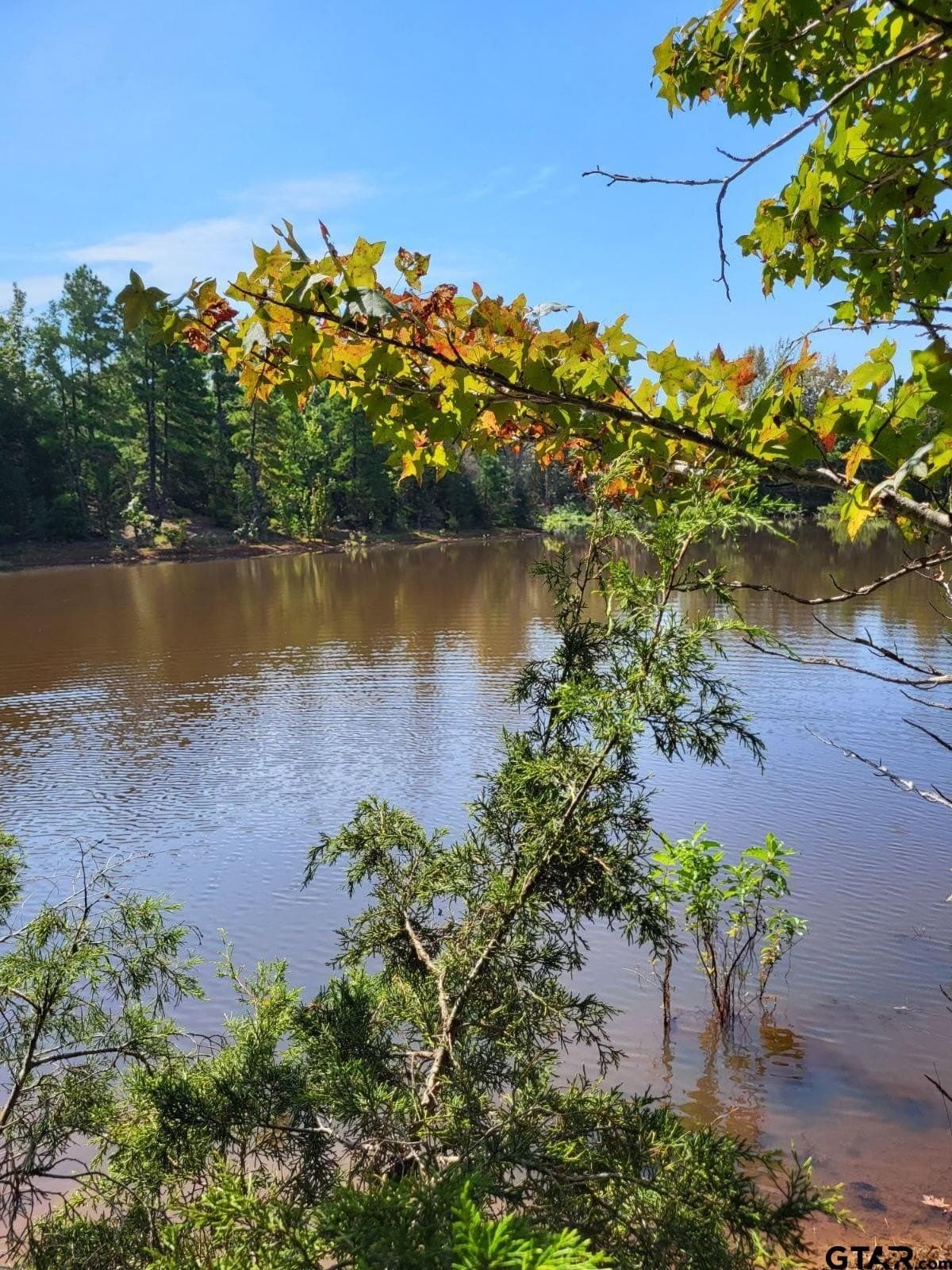 55.8 acres in Smith County - photo 4