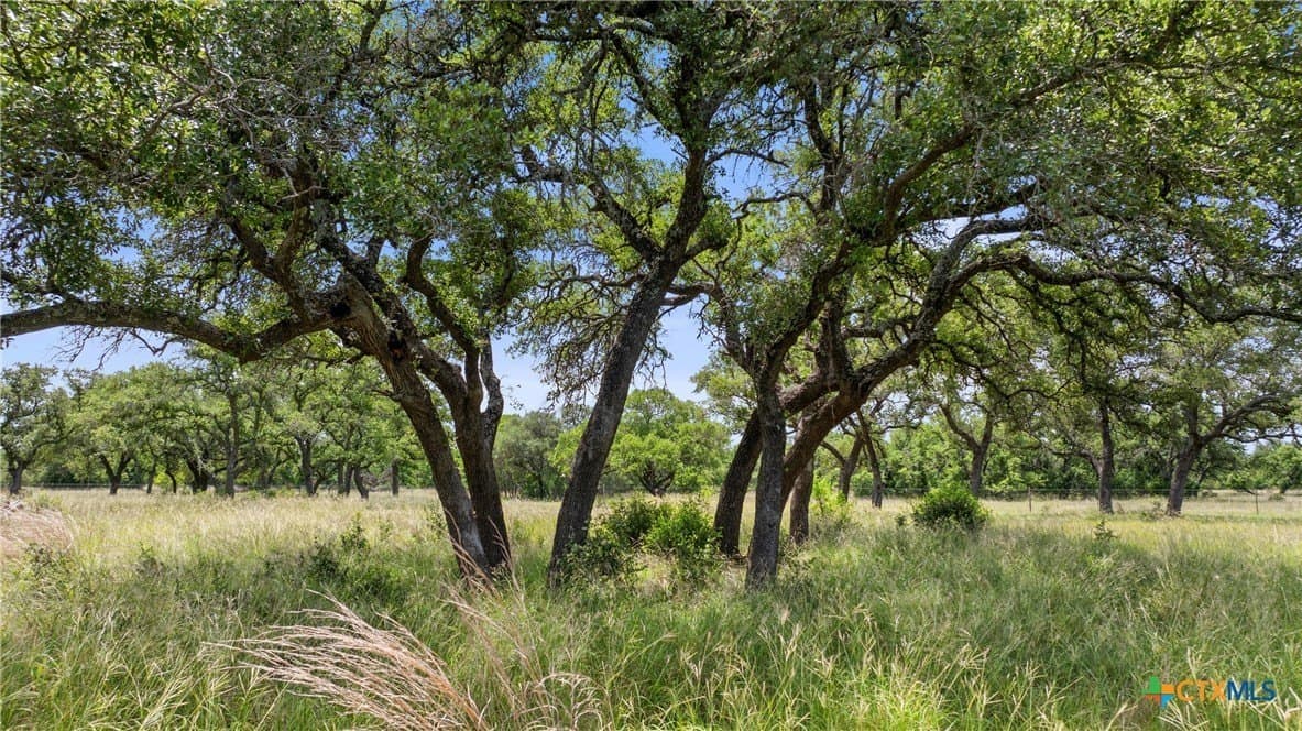 25.11 acres in Blanco County - photo 4