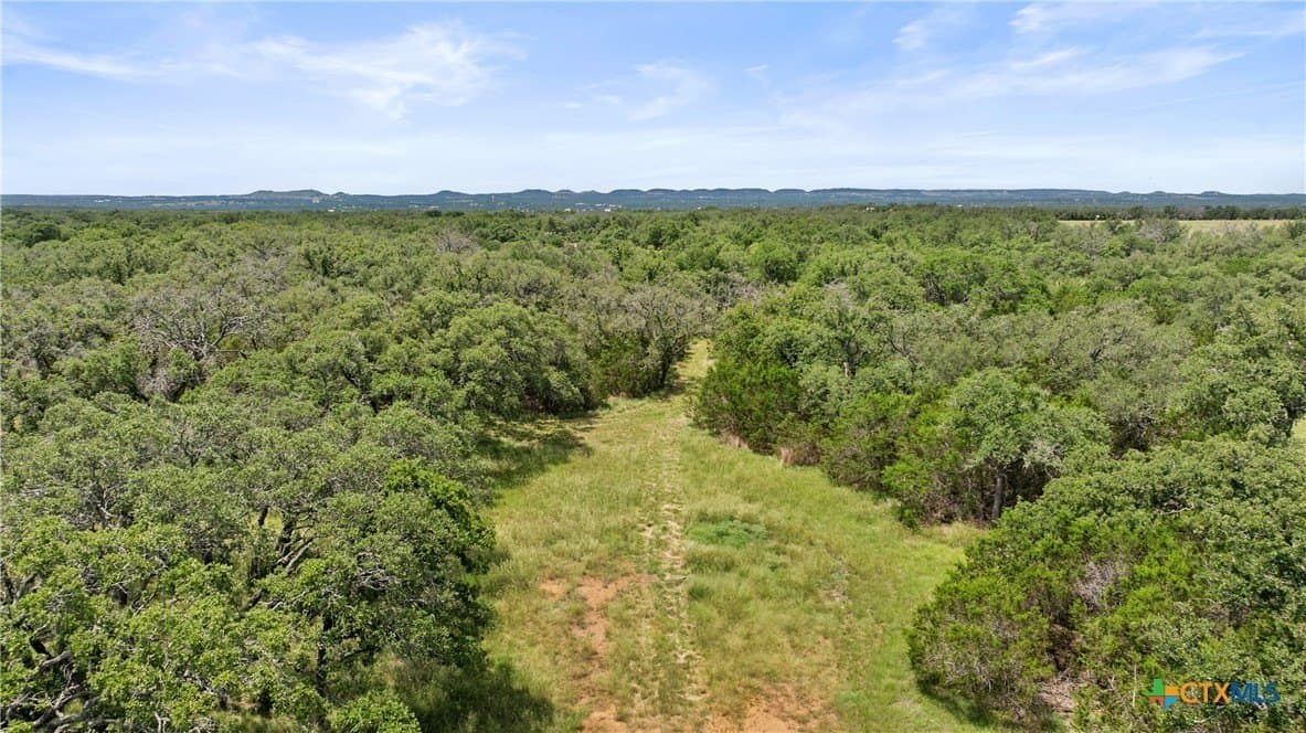 25.11 acres in Blanco County - photo 20