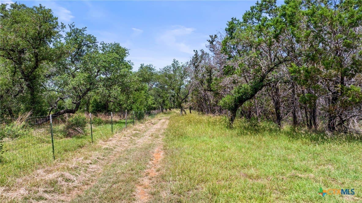 25.11 acres in Blanco County - photo 24