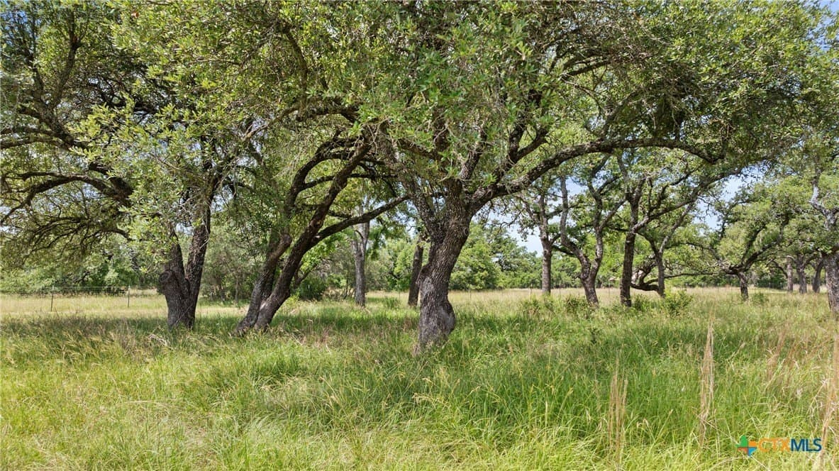 25.11 acres in Blanco County - photo 3
