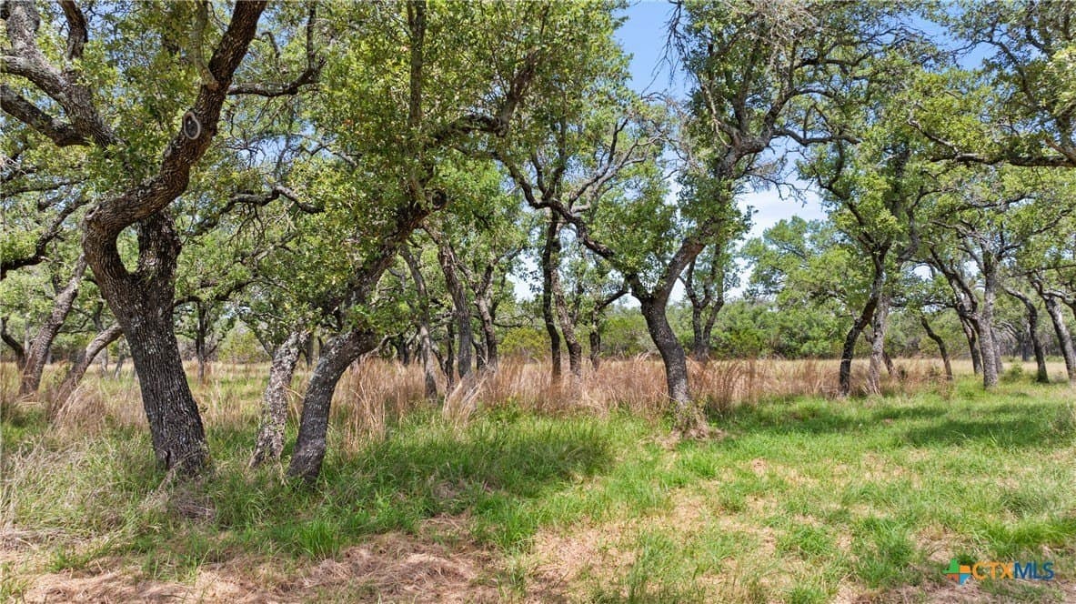 25.11 acres in Blanco County - photo 15